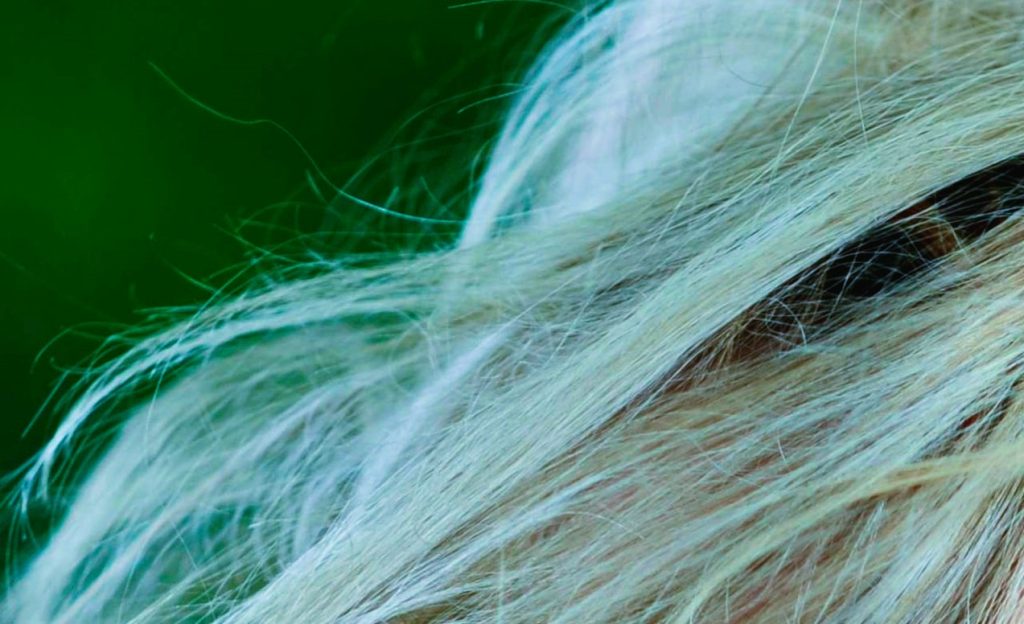 how to get green out of hair: methods that actually work